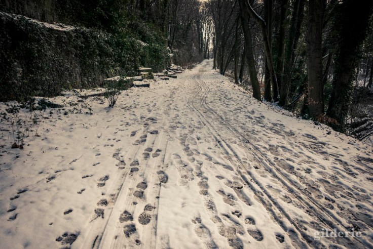 Dimanche neigeux au Parc de la Chartreuse (Liège)