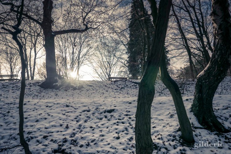 Dimanche neigeux au Parc de la Chartreuse (Liège)