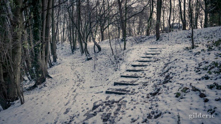 Dimanche neigeux au Parc de la Chartreuse (Liège)