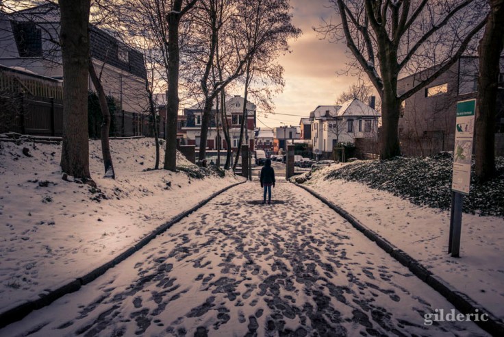 Dimanche neigeux au Parc de la Chartreuse (Liège)