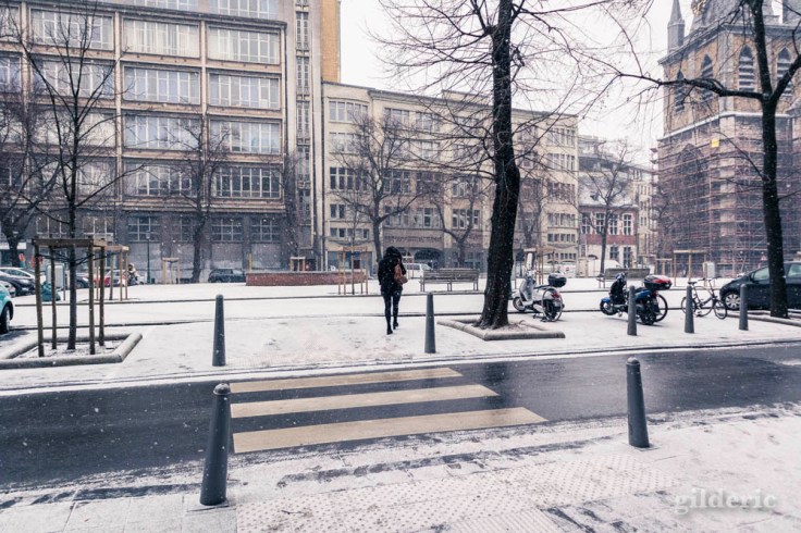 Il neige sur Liège (janvier 2019)