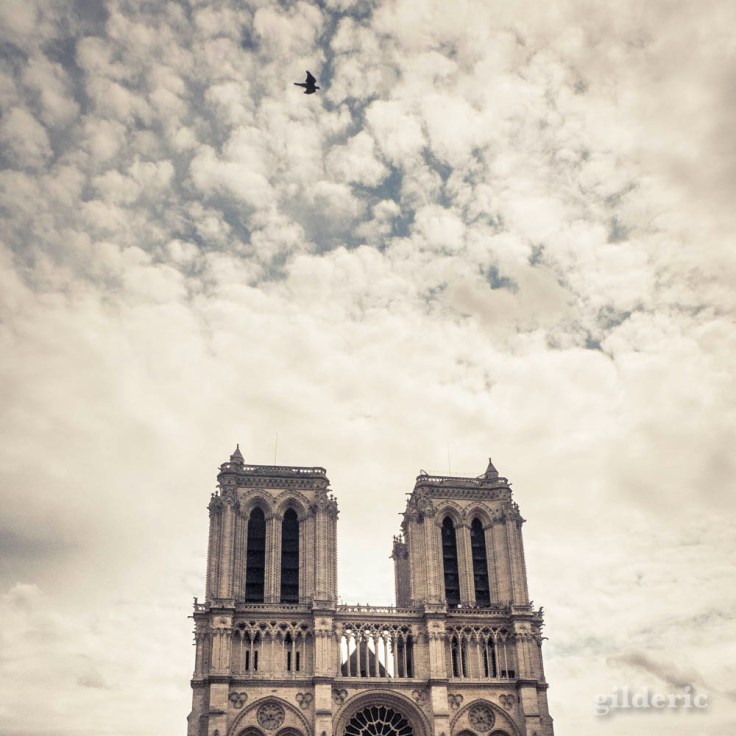 Notre-Dame de Paris 