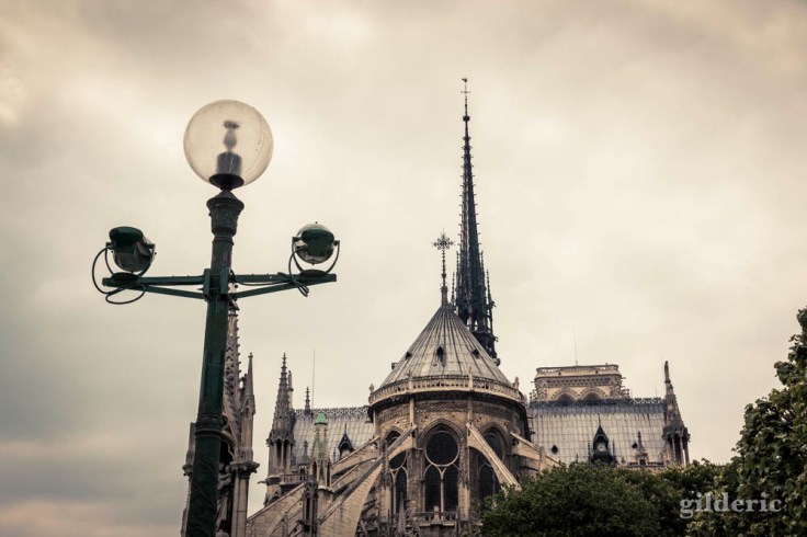 Notre-Dame de Paris (vue de dos)