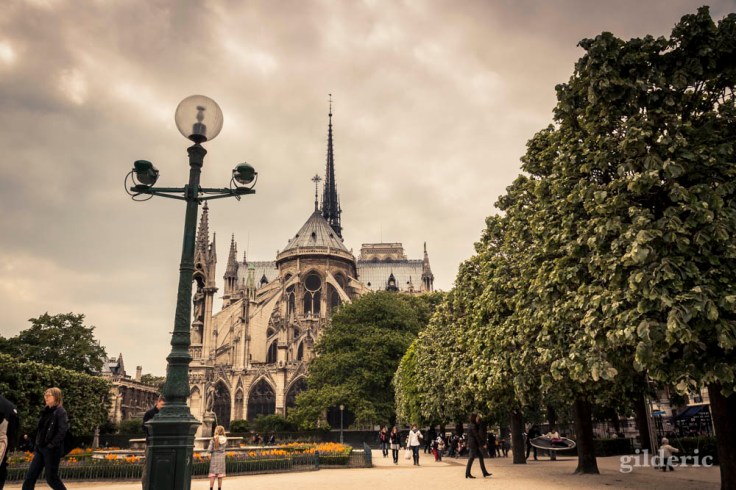 Notre-Dame de Paris (vue du parc)