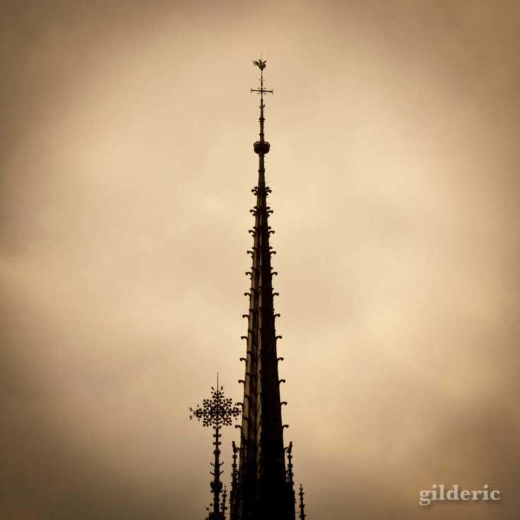 Détail de la flèche de Notre-Dame de Paris