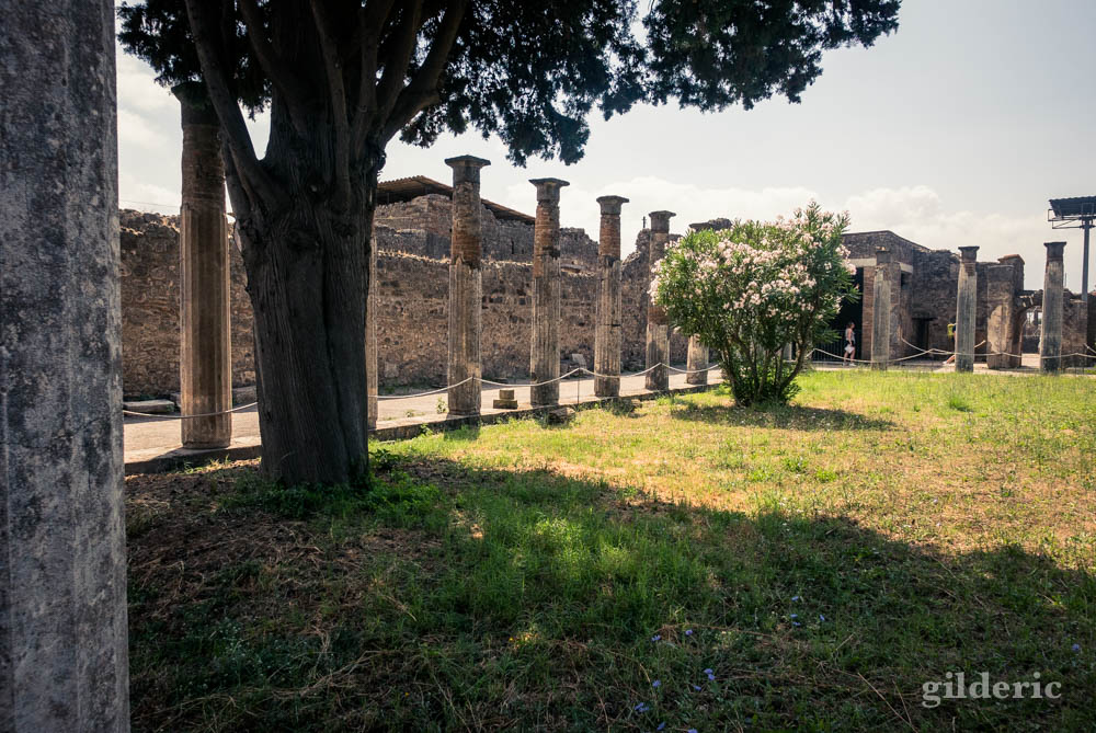 Casa del Fauno à Pompéi