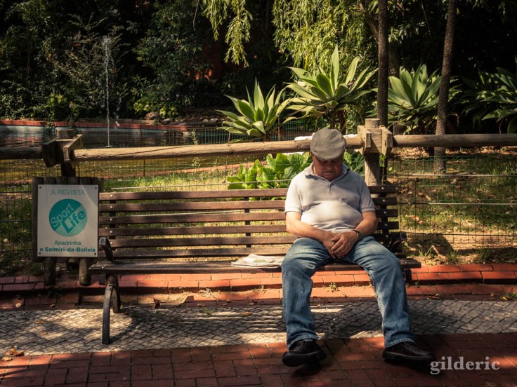 Street photography à Lisbonne : sieste au zoo