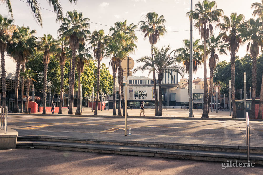 Lloret de Mar : des arbres et des touristes