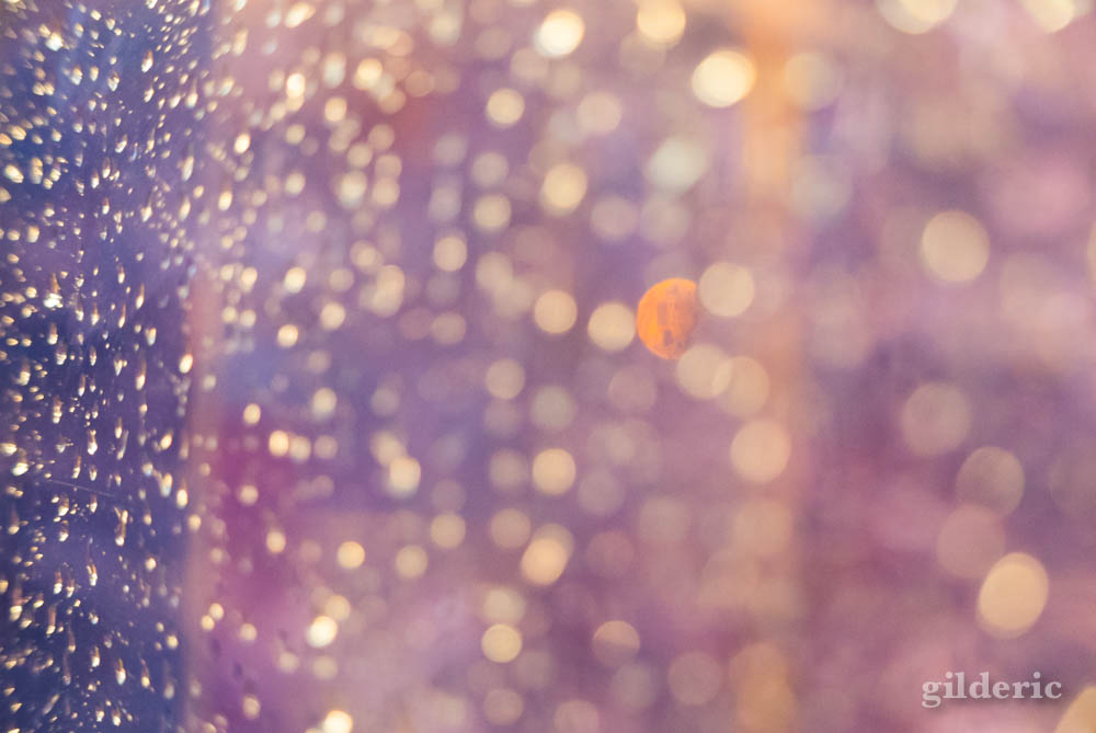 Rideau de lumière (flou artistique)