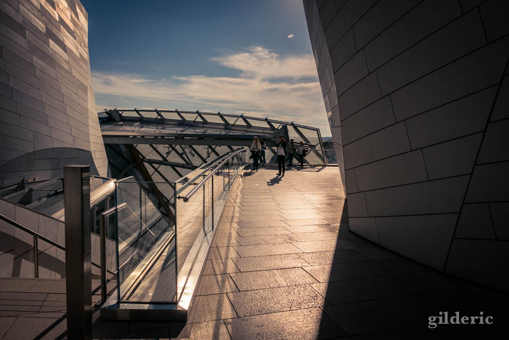 Sur la terrasse de la Fondation Louis Vuitton