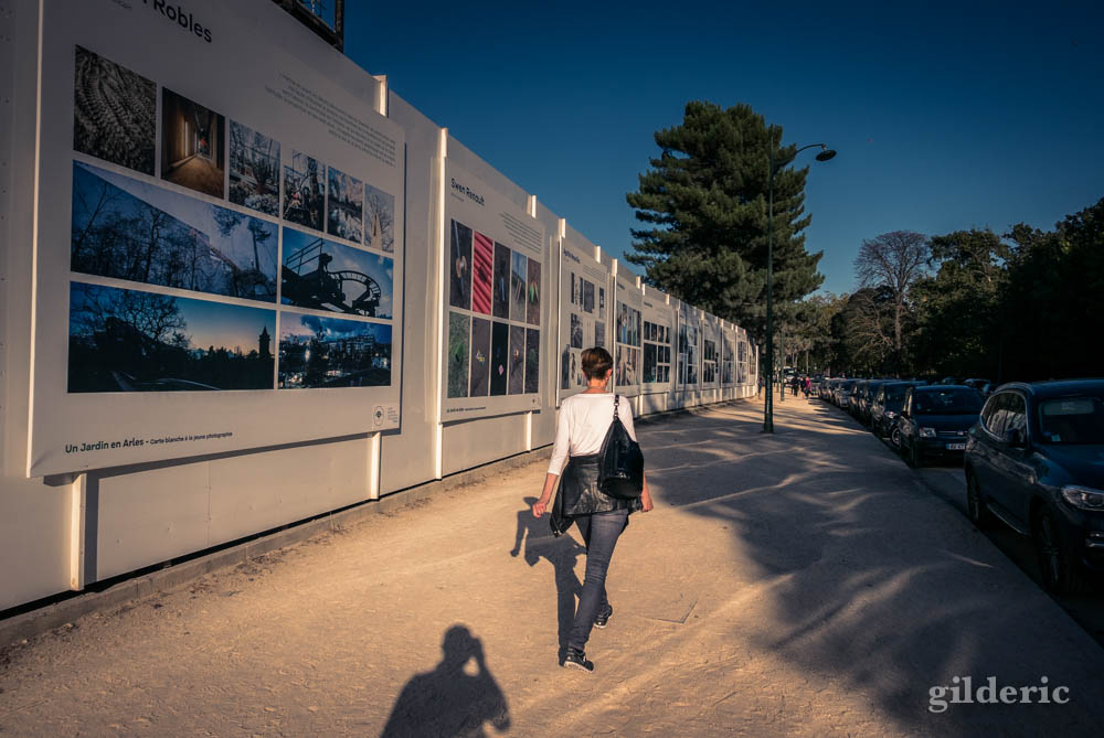 Bois de Boulogne, près de la Fondation Louis Vuitton