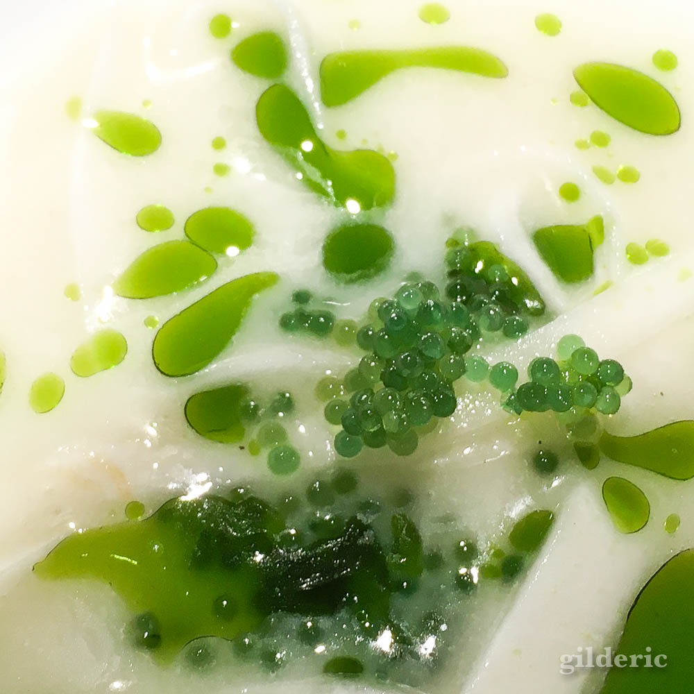 Photo culinaire à l'iPhone : céleris et wasabi (Delys)