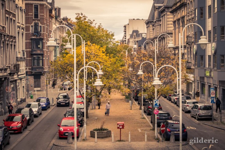Boulevard Saucy en automne à Liège