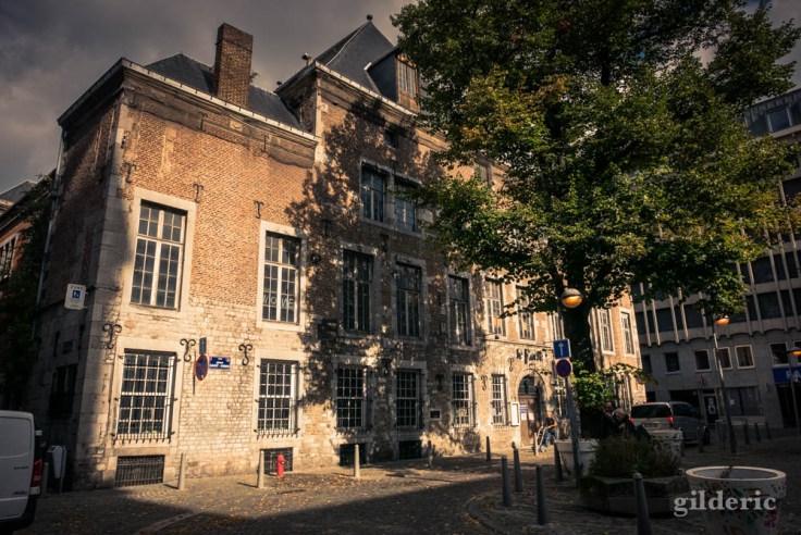 L'arbre et le fiacre, Liège, automne 2019