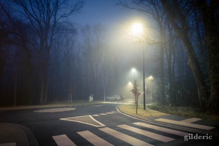 La disparition (ambiance cinématographique au Sart-Tilman)