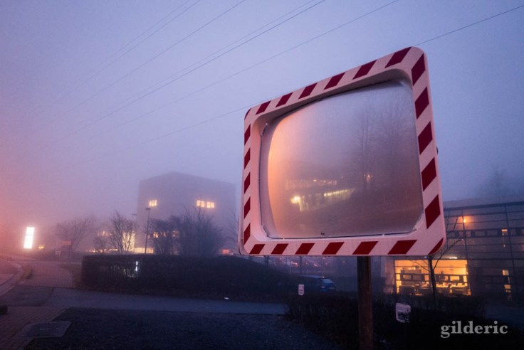 Faux-Semblants (Parc scientifique du Sart-Tilman)