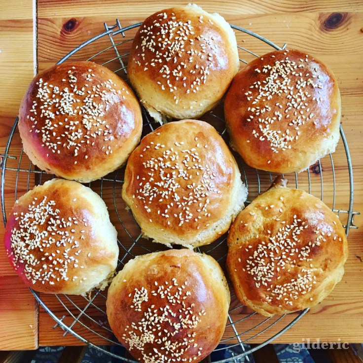 Pains à burgers (buns) maison tout chauds