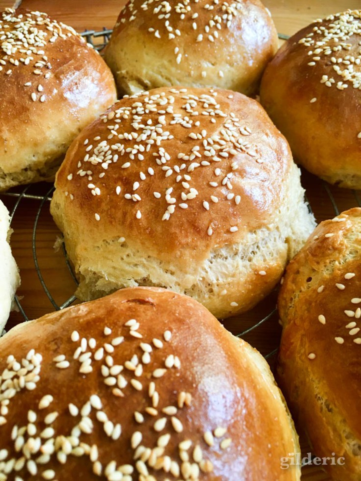 Pains à burgers au sésame (buns) maison