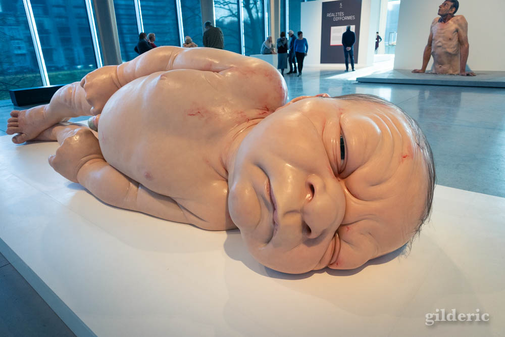 Ron Mueck : A Girl