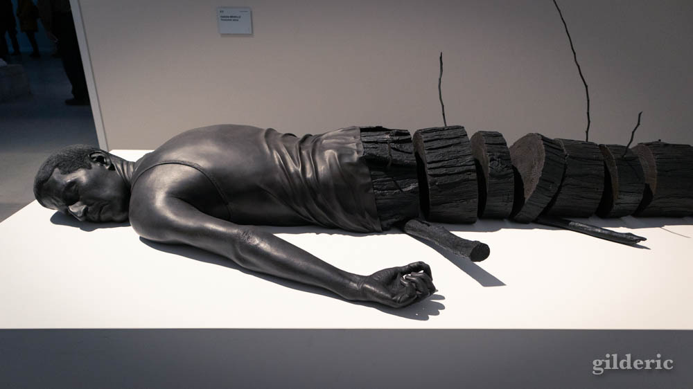 Fabien Merelle : Tronçonné