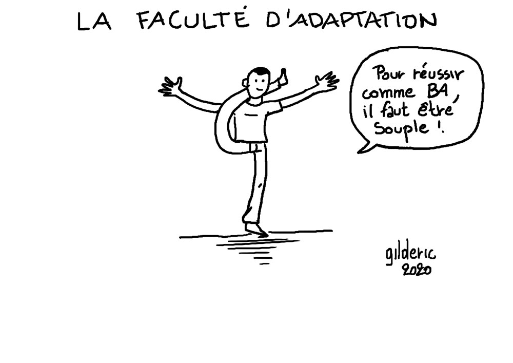 Savoir s'adapter, une qualité essentielle au métier de Business Analyst (dessin)