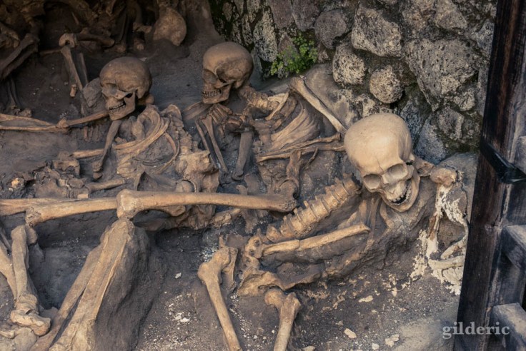 Squelettes des habitants d'Herculanum réfugiés dans les abris à bateau