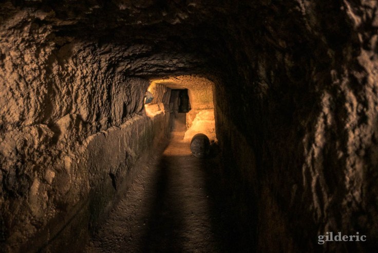 Fouilles dans la partie non dégagée de la palestre d'Herculanum