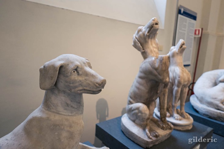 Meute de chiens en marbre au Musée archéologique de Naples