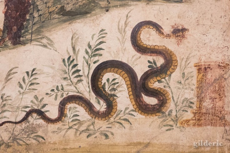Serpent - détail d'une fresque de Pompéi au Musée archéologique de Naples