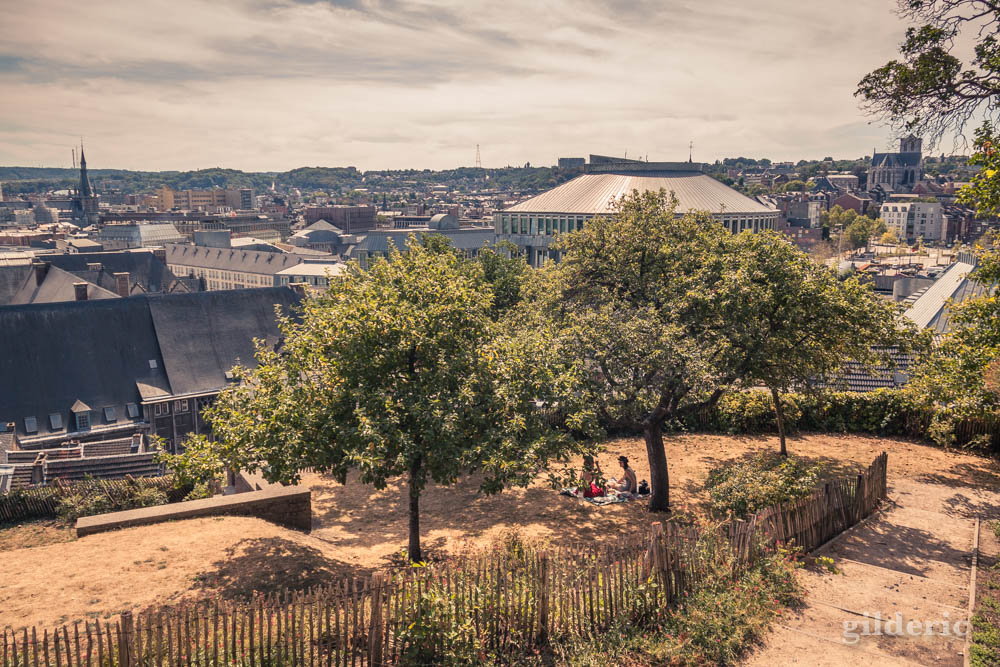 Pique-nique à l'ombre sous la canicule (Les Coteaux, Liège)