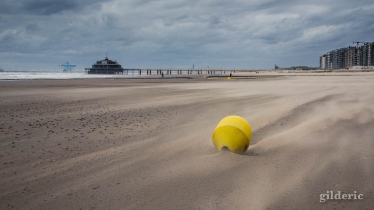 Tempête à Blankenberge : la bouée et le Pier