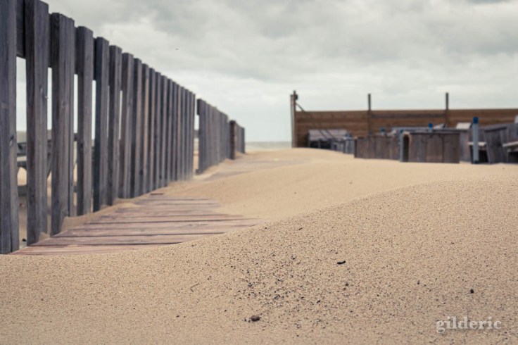 Tempête à Blankenberge : vers la plage