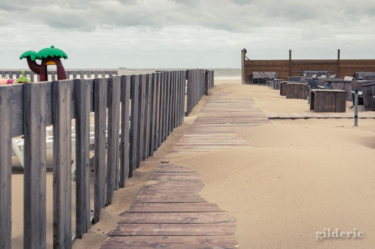 Tempête à Blankenberge : sortie sur la plage venteuse