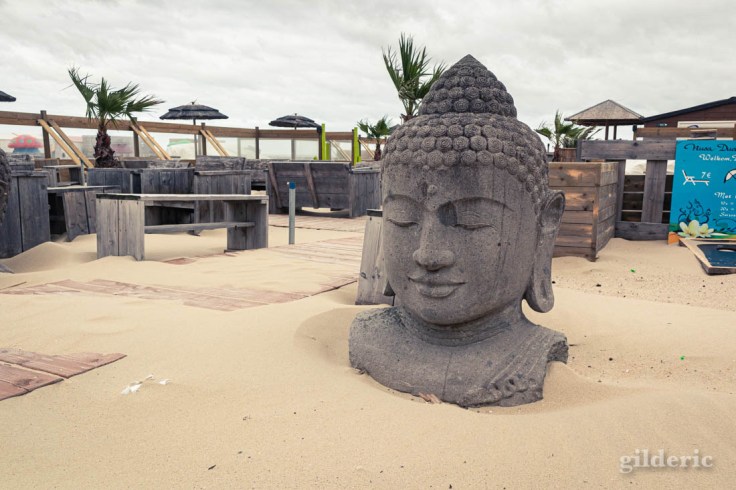 Tempête à Blankenberge : Le Bouddha du bar de plage