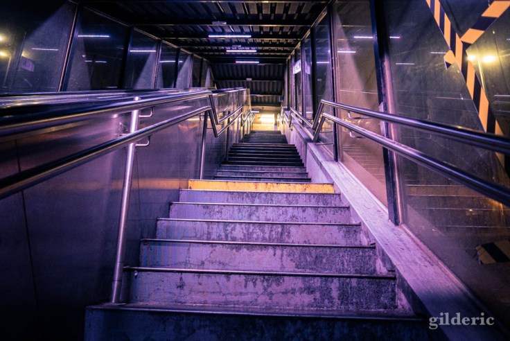 Gare de Visé la nuit : l'escalier vers les quais (montée)
