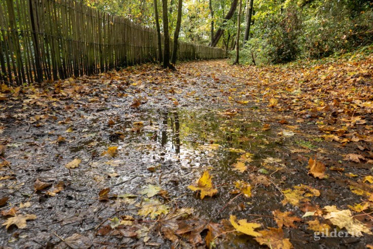 Balade autour du Fort de la Chartreuse en automne : flaque sur le santier (photo)