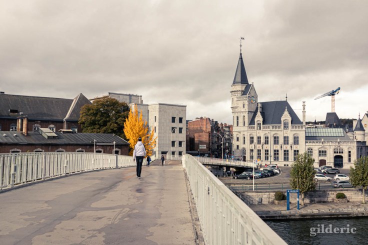 Automne à Liège : la passerelle Saucy et la Grand Poste (photo)
