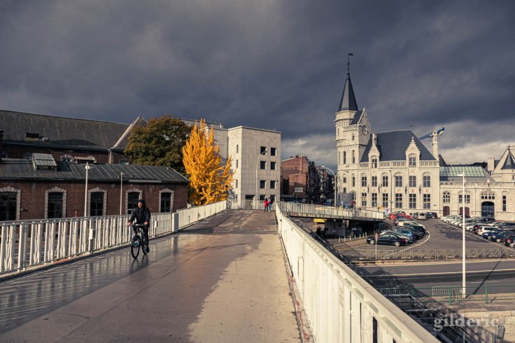 Liège en automne : de la passerelle à la Grand Poste, sous une étrange lumière (photo)