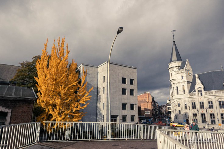 Automne à Liège : l'arbre jaune et la Grand Poste