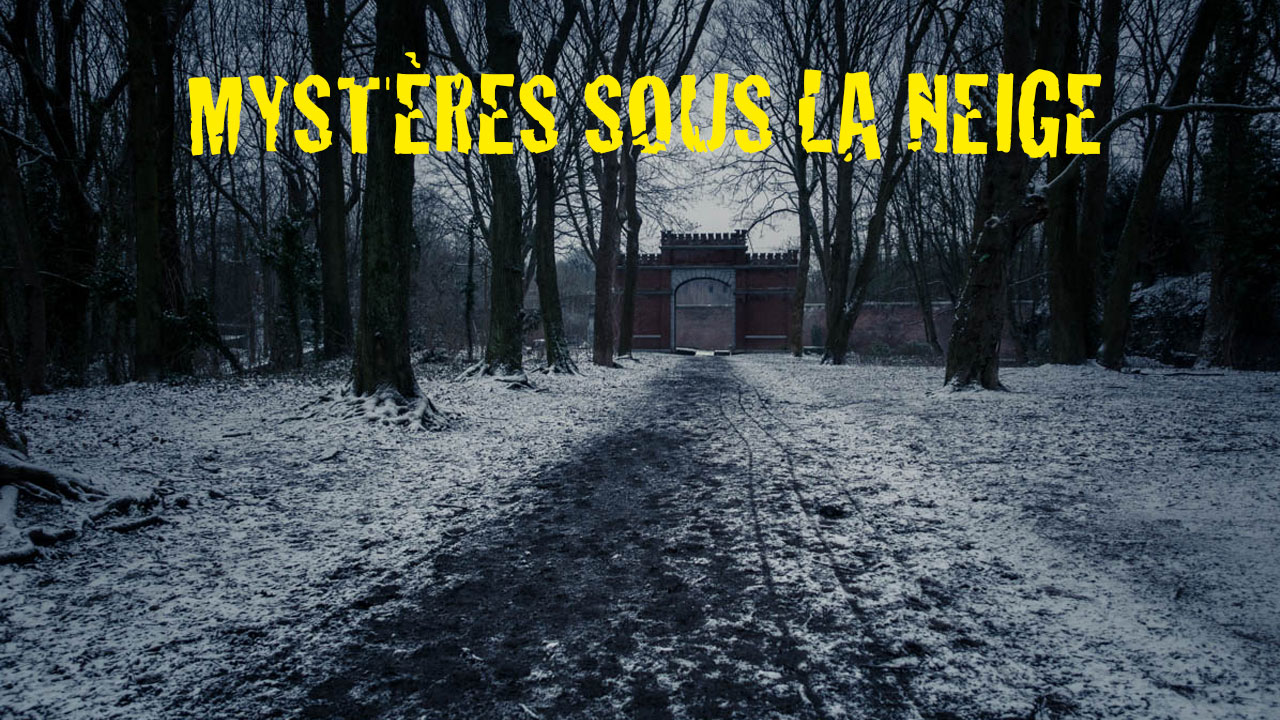 Mystères sous la neige : Chroniques du confinement #19