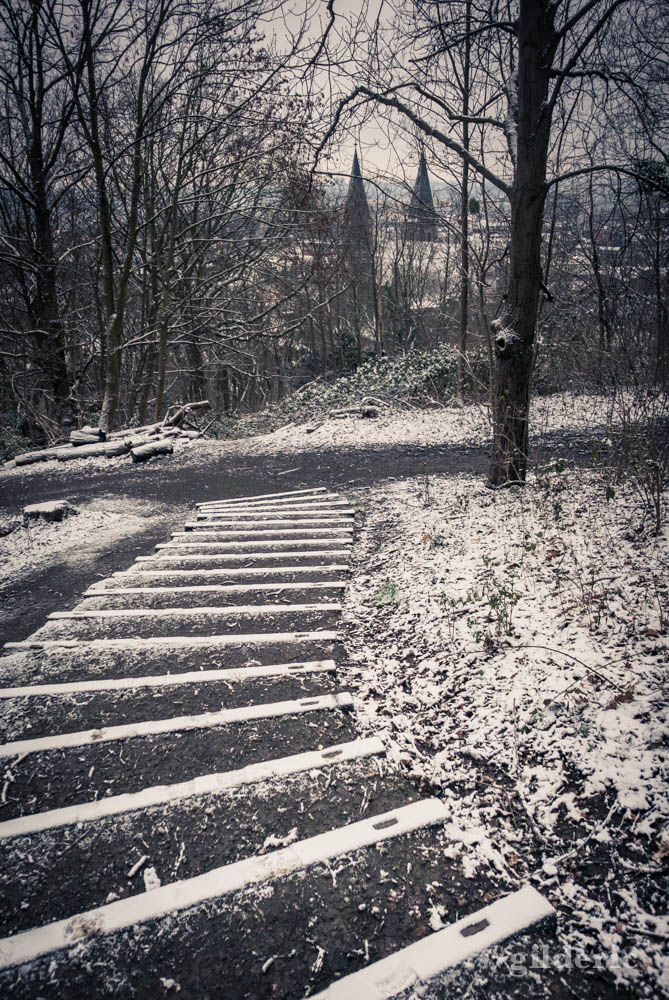 Escaliers sous la neige, bois des Oblats à Grivegnée (Liège)