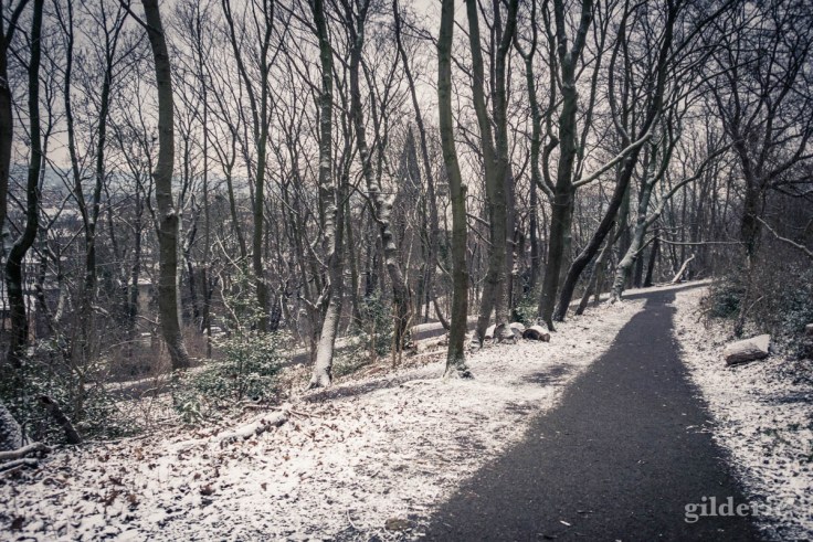 Parc des Oblats sous la neige