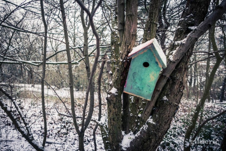 Nichoir pour oiseaux au parc de la Chartreuse