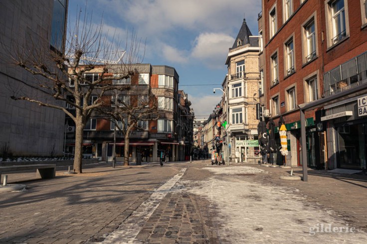 Liège sous la glace