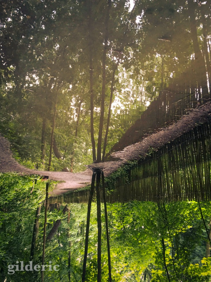 Reflet dans les flaques de la Chartreuse - photo iPhone développée avec Lightroom sur iPad