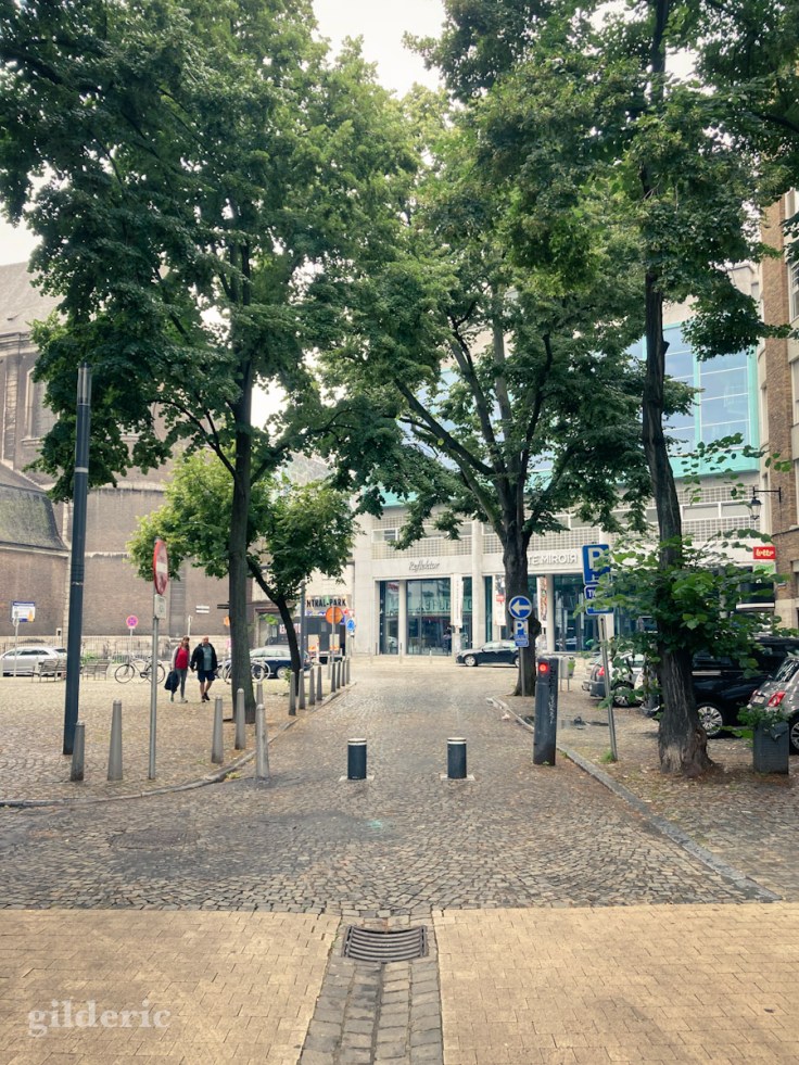 Arbres et verdure, place Xavier Neujean