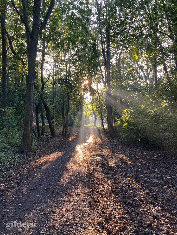 Magique octobre-rayons de lumière d'automne (Fort de la Chartreuse)