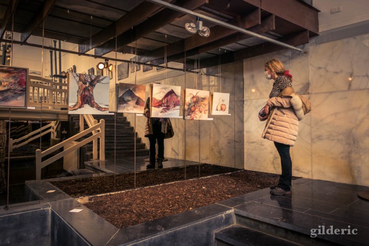 Expo Van op den Bosch -Trignon (galerie Prince de Condé, Spa)