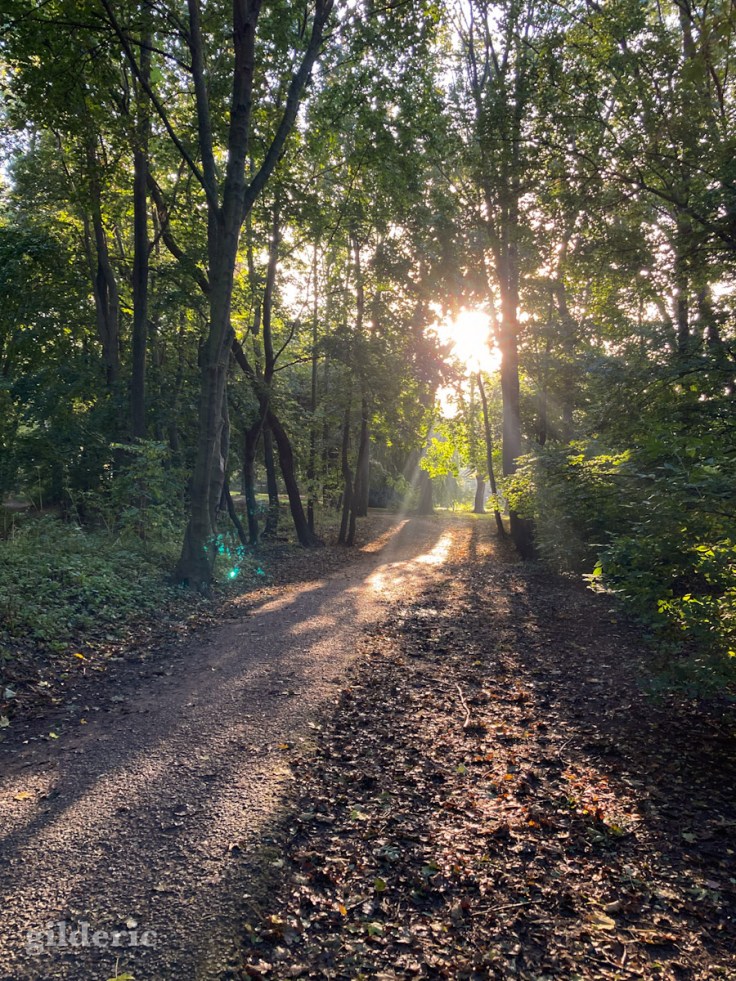 Enchantement d'automne - Fort de la Chartreuse