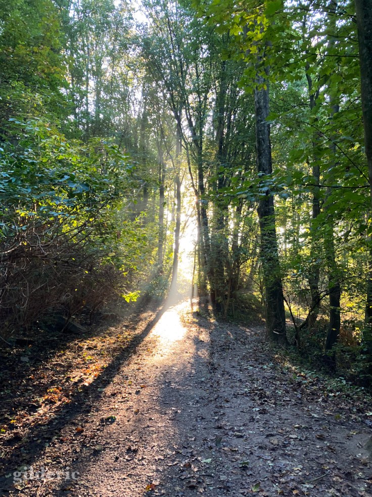 La lumière est au bout du chemin - Automne au Fort de la Chartreuse